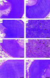 [Figure 5]