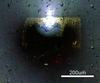 [Figure 3]