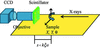 [Figure 3]