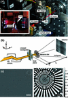 [Figure 10]