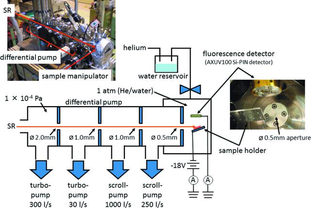 [Figure 1]