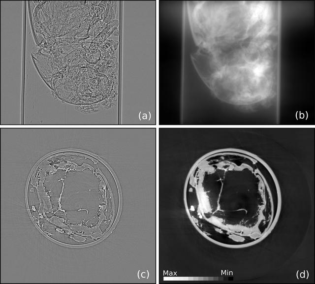 [Figure 3]