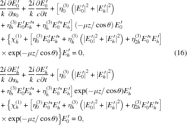 [\eqalignno{ & {{2i}\over{k}} {{\partial{{E}_0^{\,\prime}}} \over {\partial {s_0}}} + {{2i} \over k} {{\partial{{E}_0^{\,\prime}}} \over {c\partial t}} + \Big[\eta_0^{(3)} \left({{{\left|{{{E}_0^{\,\prime}}}\right|}^2} + {{\left| {{{E}_h^{\,\prime}}} \right|}^2}} \right) \cr& + \eta_h^{(3)} {{E}_0^{\,\prime}} E_h^{\,\prime*} + {\eta}_{\bar h}^{(3)}E_0^{\,\prime*}{{E}_h^{\,\prime}}\Big] \left(-\mu{z}/\cos\theta\right) {{E}_0^{\,\prime}} \cr& + \Big\{ {\chi}_{\bar h}^{(1)} + \left[{{\eta}_0^{(3)}{{E}_0^{\,\prime}} E_h^{\,\prime*} + {\eta}_{\bar h}^{(3)}\left({{{\left| {{{E}_0^{\,\prime}}} \right|}^2} + {{\left| {{{E}_h^{\,\prime}}} \right|}^2}} \right) + {\eta}_{2\bar h}^{(3)}E_0^{\,\prime*}{{E}_h^{\,\prime}}} \right] \cr&\times \exp(-\mu{z}/\cos\theta) \Big\}_{\vphantom{\Big|}} {{E}_h^{\,\prime}} = 0, &(16) \cr& {{2i}\over{k}} {{\partial{{E}_h^{\,\prime}}} \over {\partial {s_h}}} + {{2i} \over k} {{\partial{{E}_h^{\,\prime}}} \over {c\partial t}} + \Big[{\eta}_0^{(3)} \left({{{\left|{{{E}_0^{\,\prime}}}\right|}^2} + {{\left| {{{E}_h^{\,\prime}}} \right|}^2}} \right) \cr& + {\eta}_h^{(3)} {{E}_0^{\,\prime}} E_h^{\,\prime*} + {\eta}_{\bar h}^{(3)}E_0^{\,\prime*}{{E}_h^{\,\prime}}\Big] \exp(-\mu{z}/\cos\theta) {{E}_h^{\,\prime}} \cr& + \Big\{ {\chi}_h^{(1)} + \left[{{\eta}_0^{(3)}E_0^{\,\prime*}{{E}_h^{\,\prime}} + {\eta}_h^{(3)}\left({{{\left| {{{E}_0^{\,\prime}}} \right|}^2} + {{\left| {{{E}_h^{\,\prime}}} \right|}^2}} \right) + {\eta}_{2h}^{(3)}{{E}_0^{\,\prime}}E_h^{\,\prime*}} \right] \cr&\times \exp(-\mu{z}/\cos\theta) \Big\} {{E}_0^{\,\prime}} = 0,}]