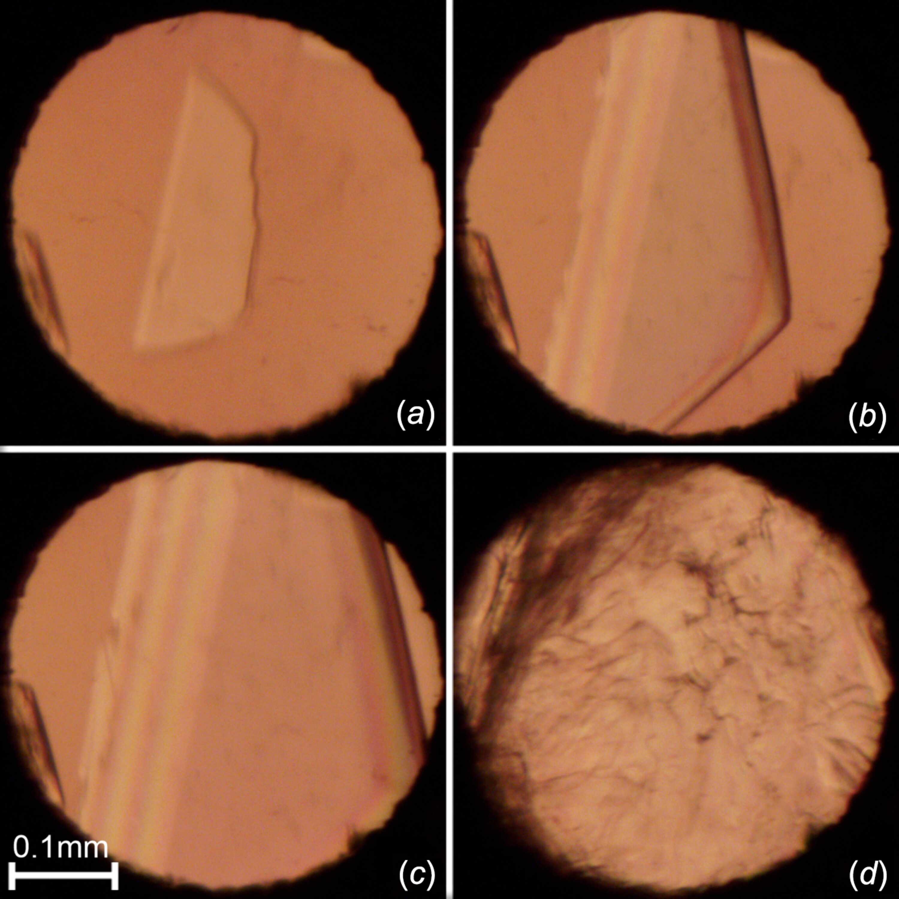 [Figure 2]