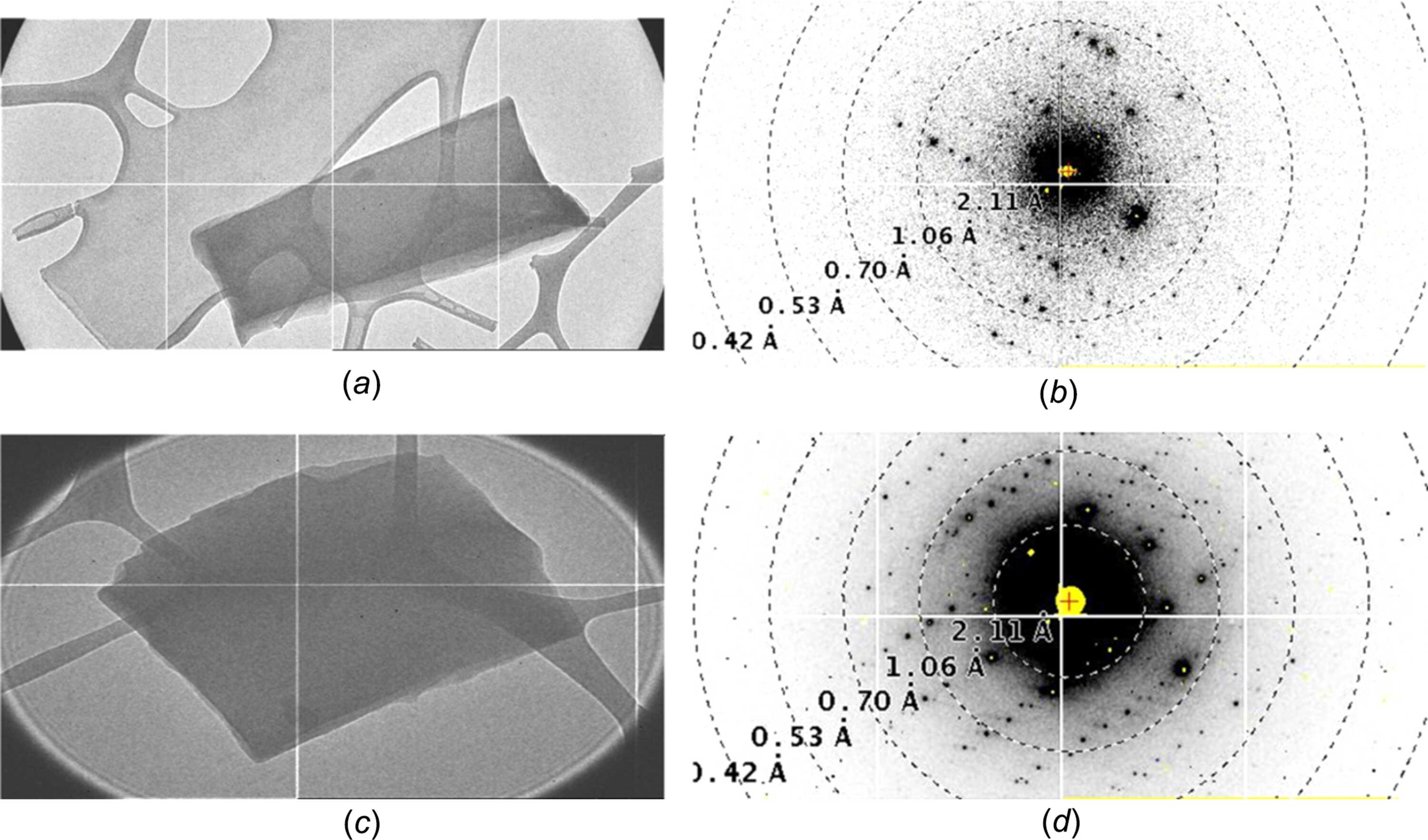 [Figure 1]
