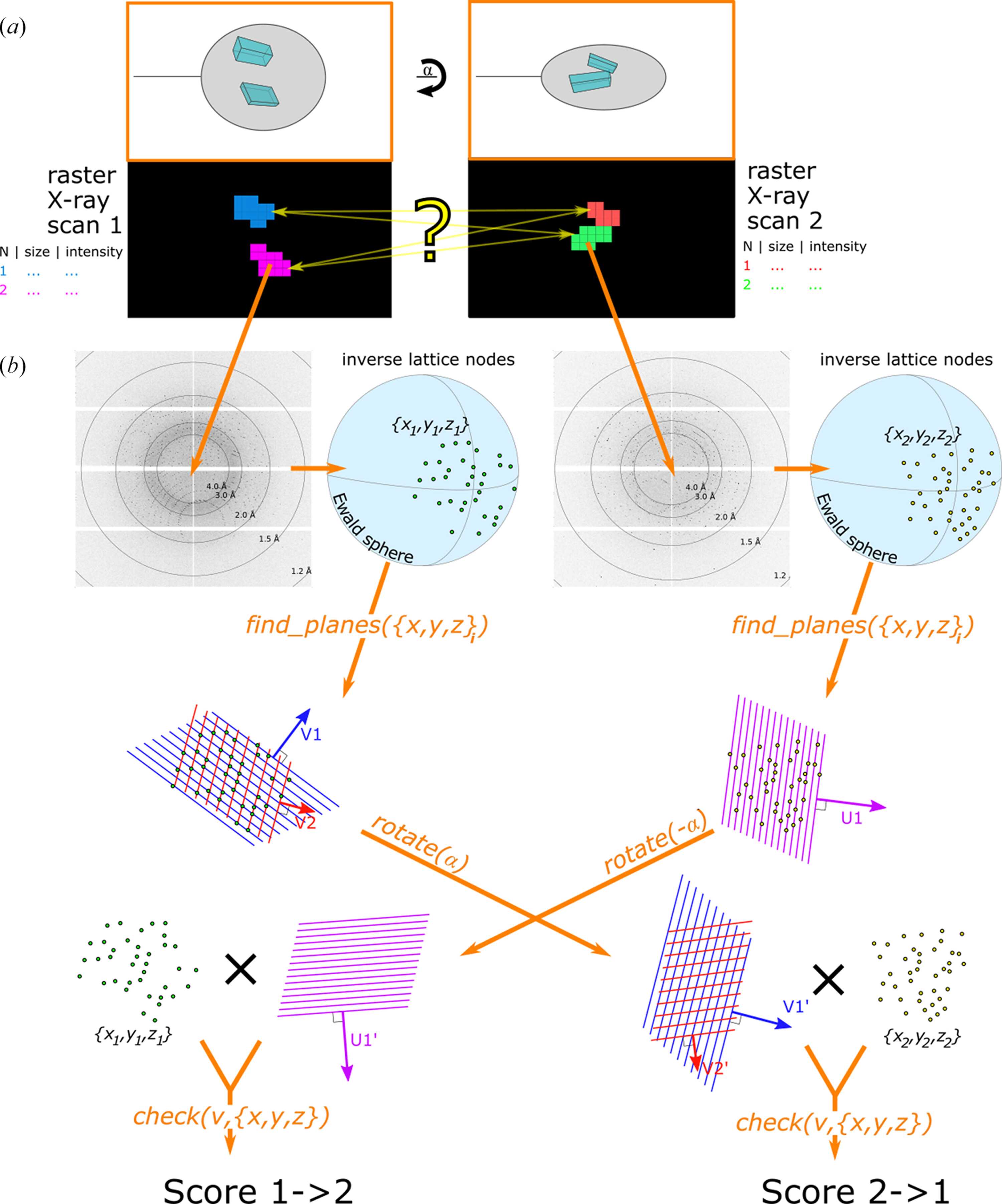 [Figure 1]