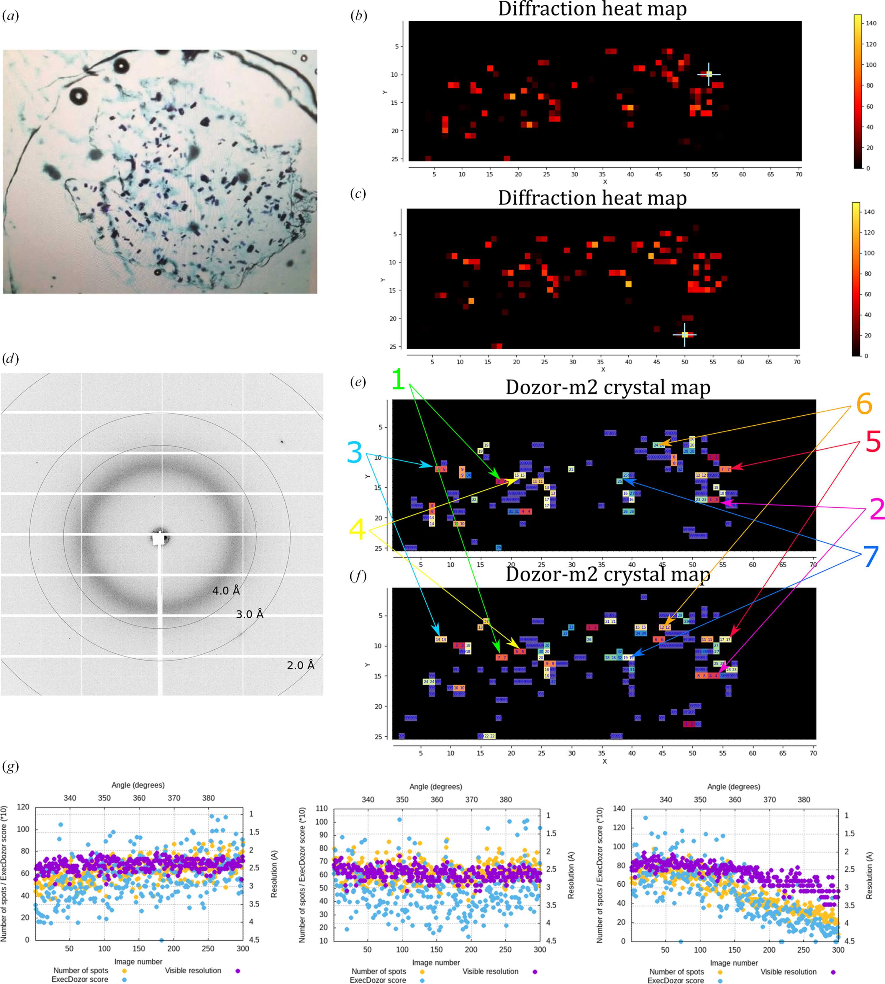 [Figure 4]