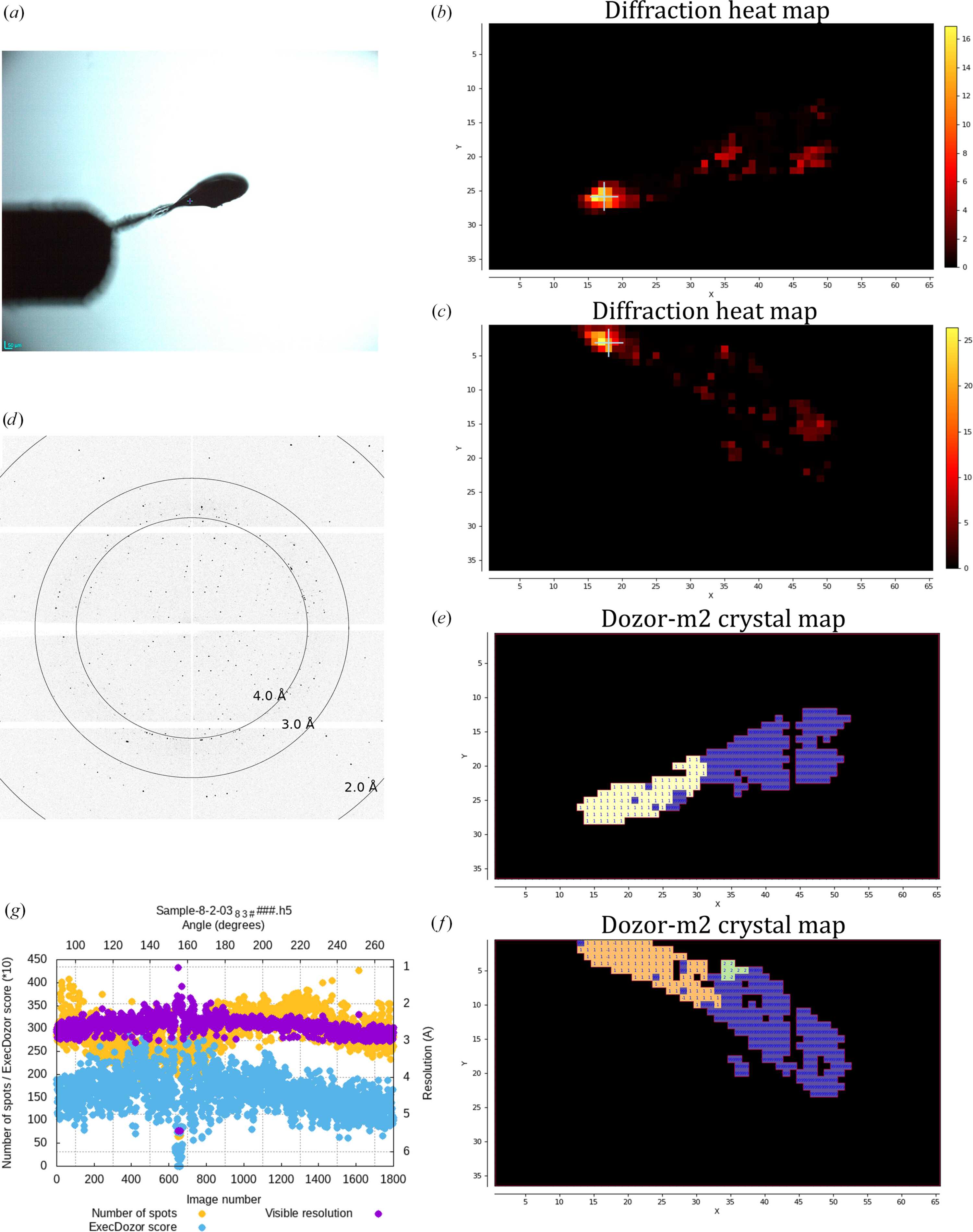[Figure 6]