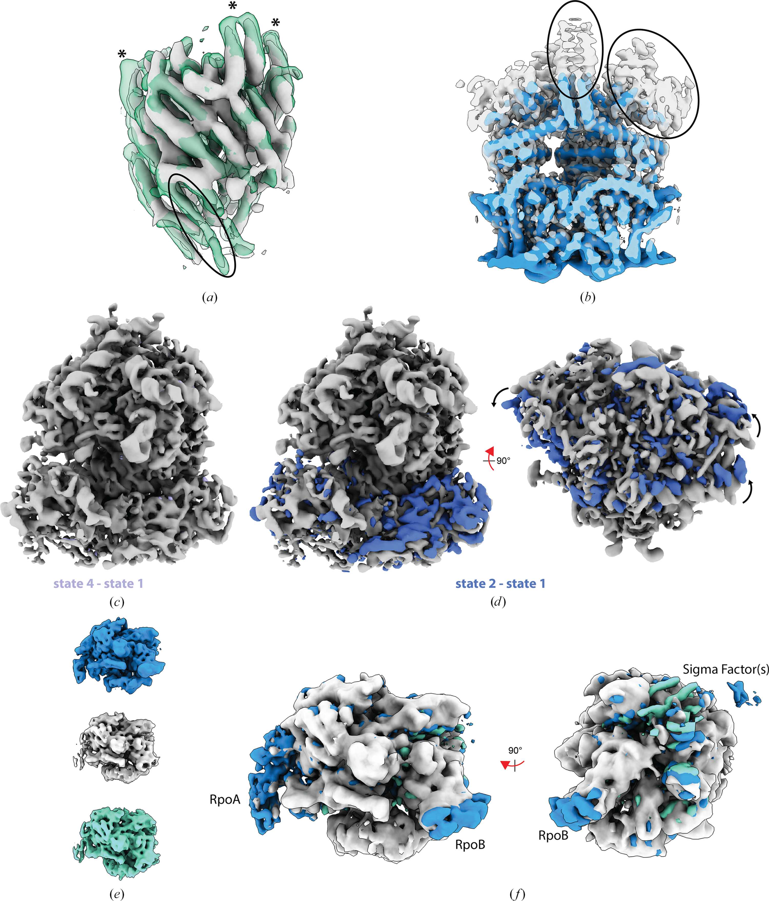 [Figure 5]
