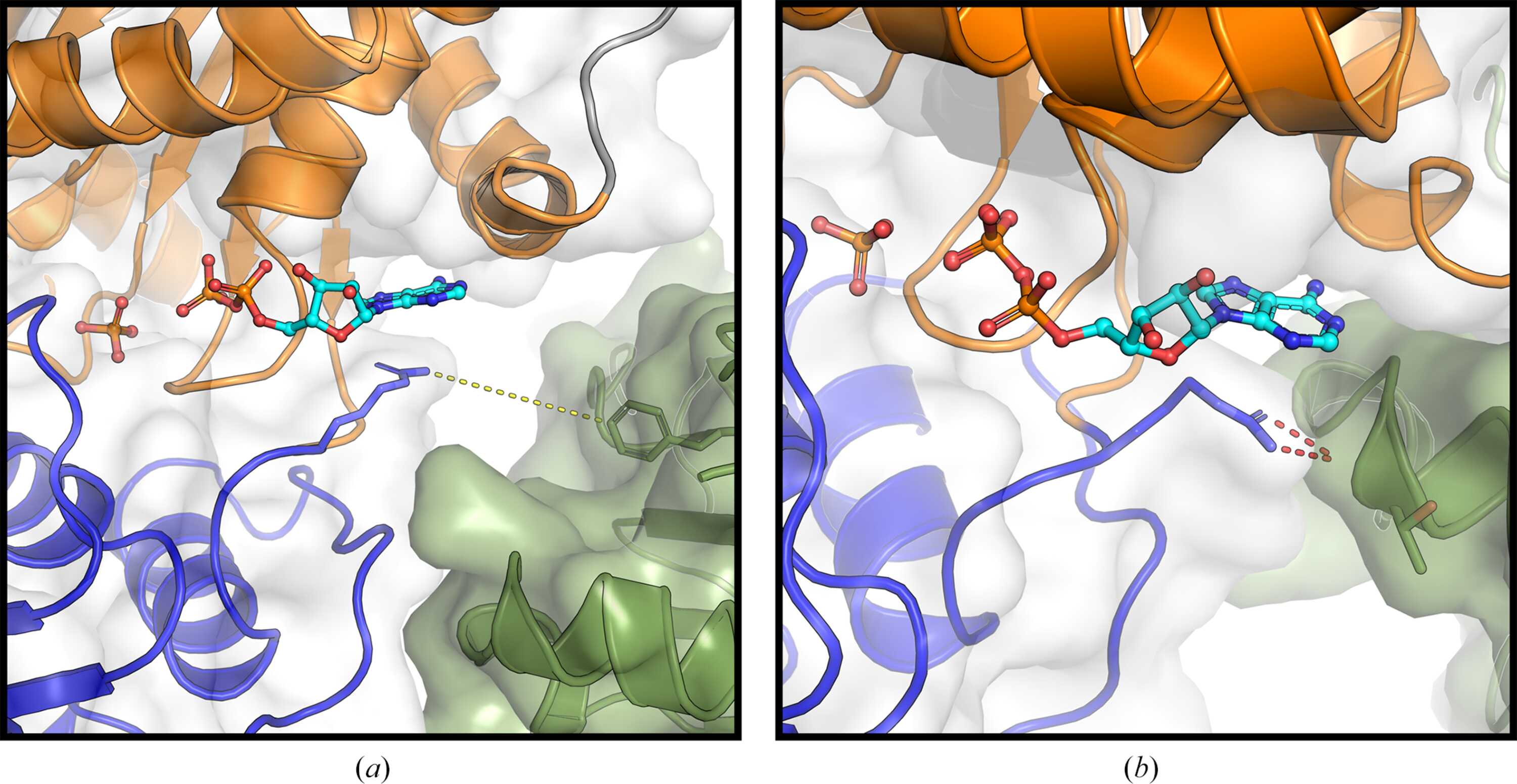 [Figure 4]