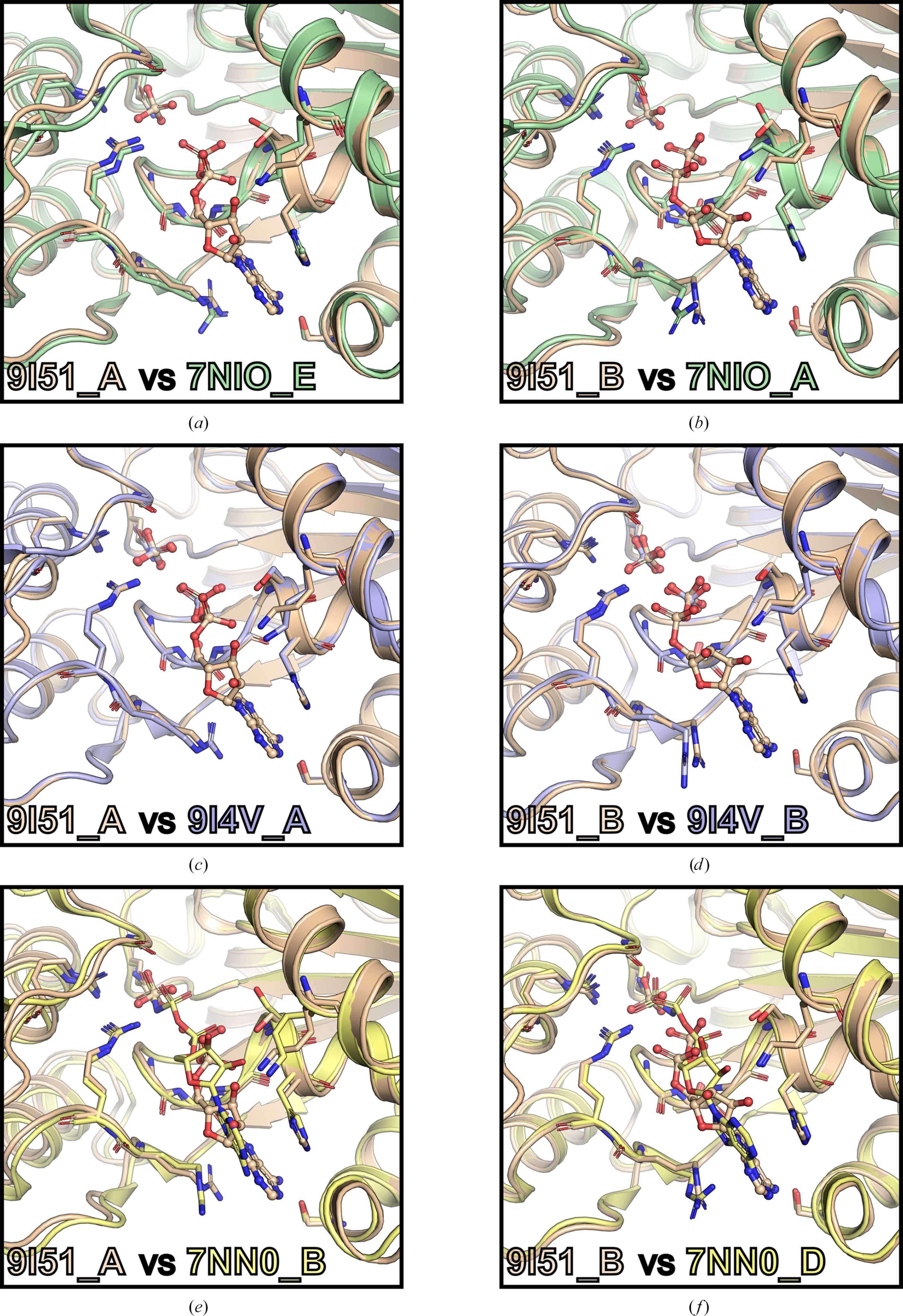[Figure 5]