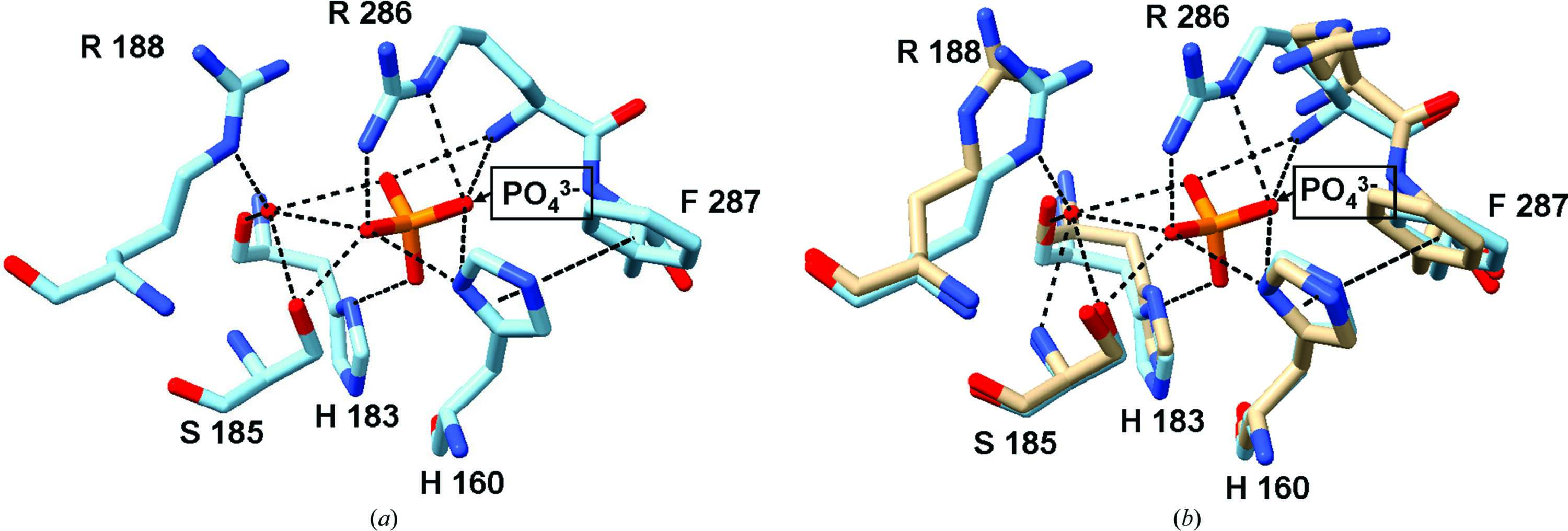 [Figure 2]