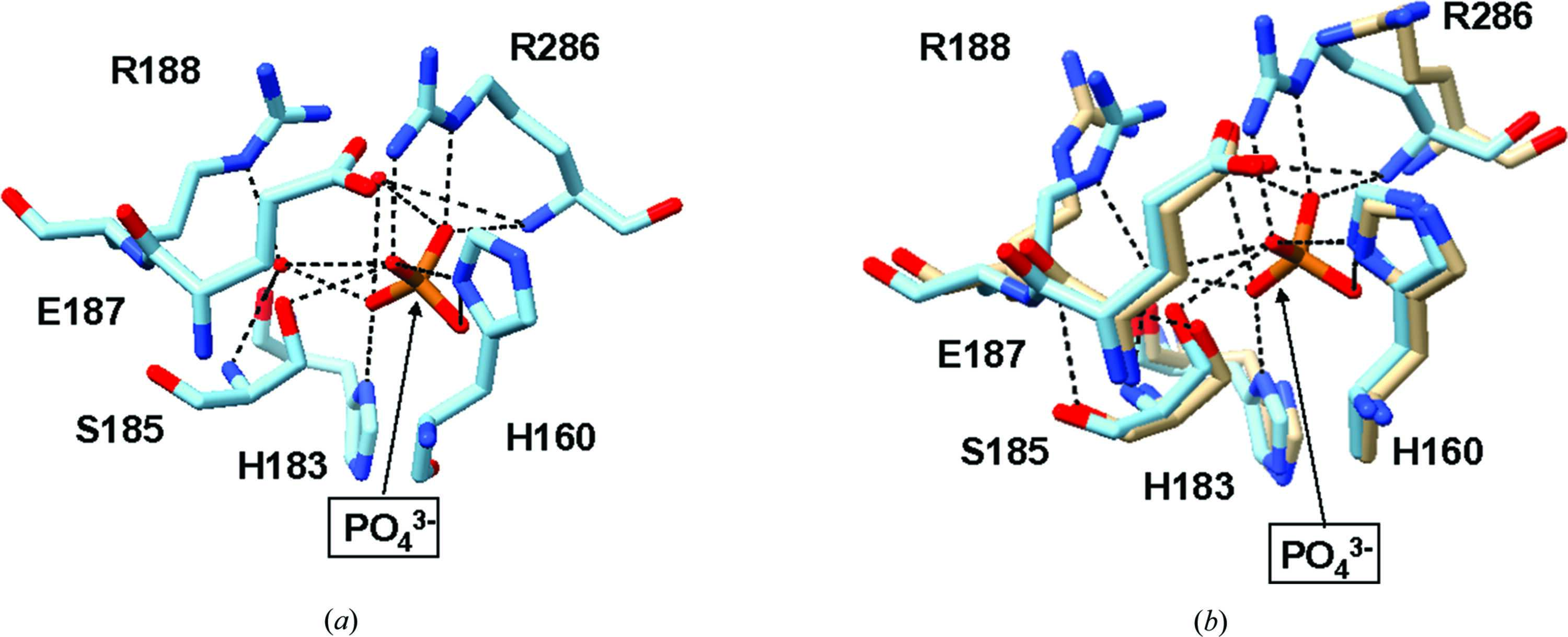 [Figure 5]