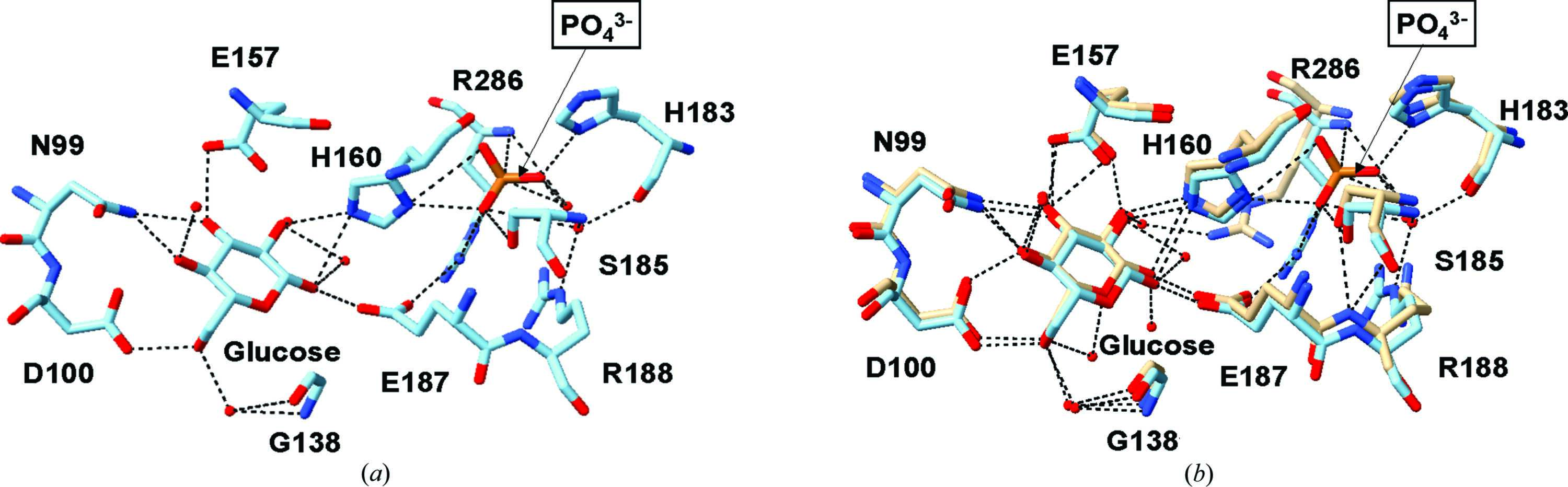 [Figure 6]