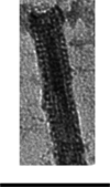[Figure 6]