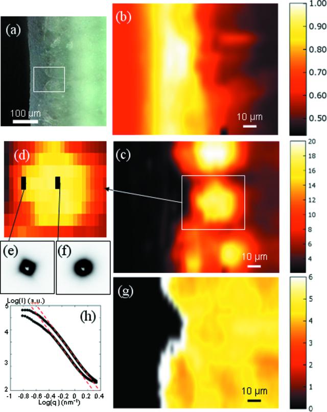 [Figure 2]