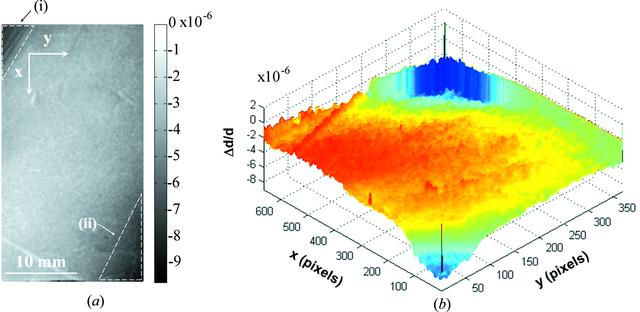 [Figure 5]