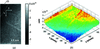 [Figure 6]