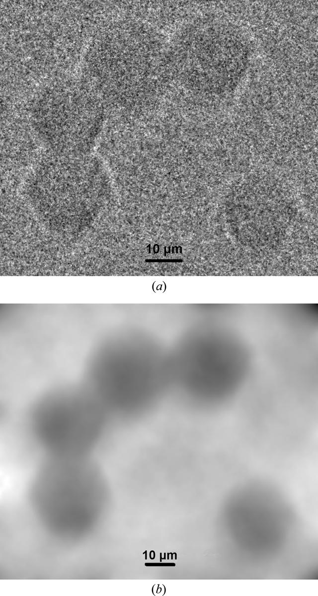 [Figure 10]