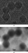 [Figure 10]
