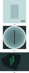 [Figure 2]
