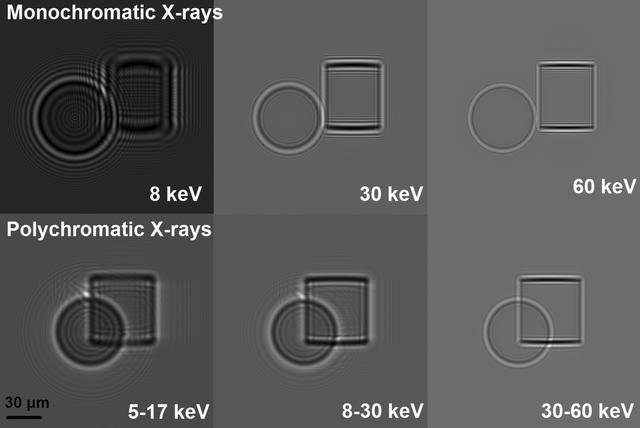 [Figure 3]