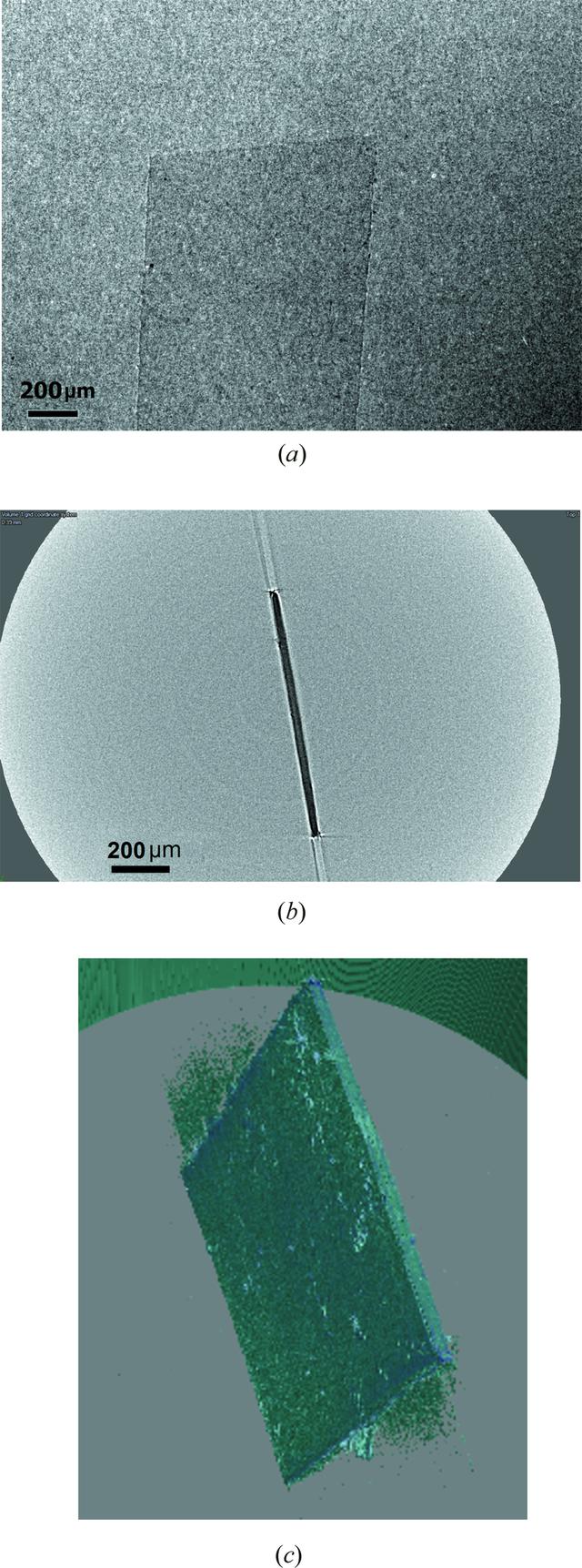 [Figure 4]