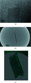 [Figure 4]