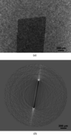 [Figure 6]