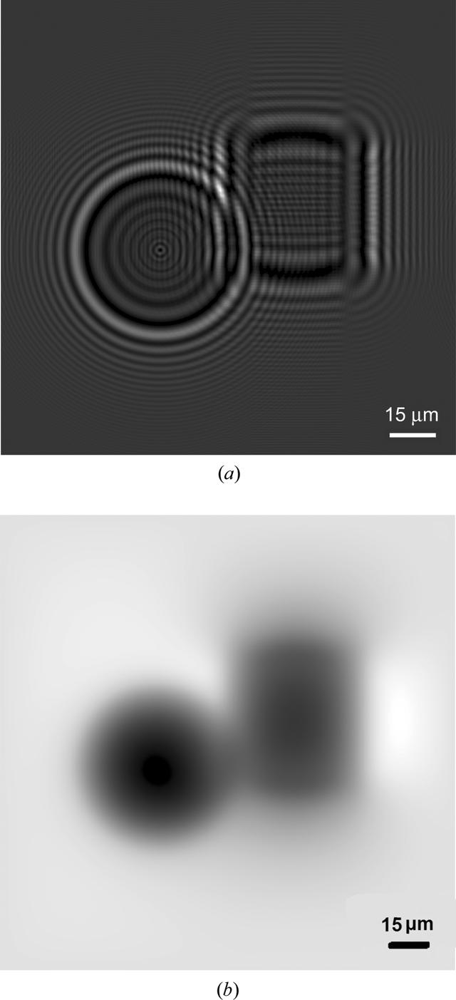[Figure 7]