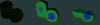 [Figure 8]