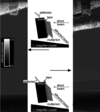[Figure 5]