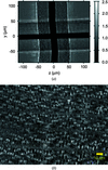 [Figure 9]