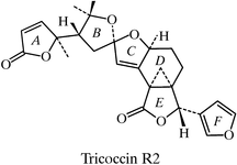 [Scheme 1]