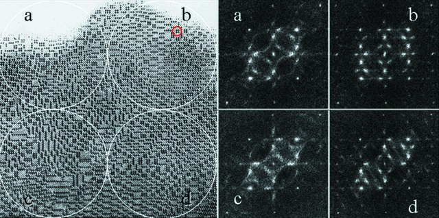 [Figure 1]