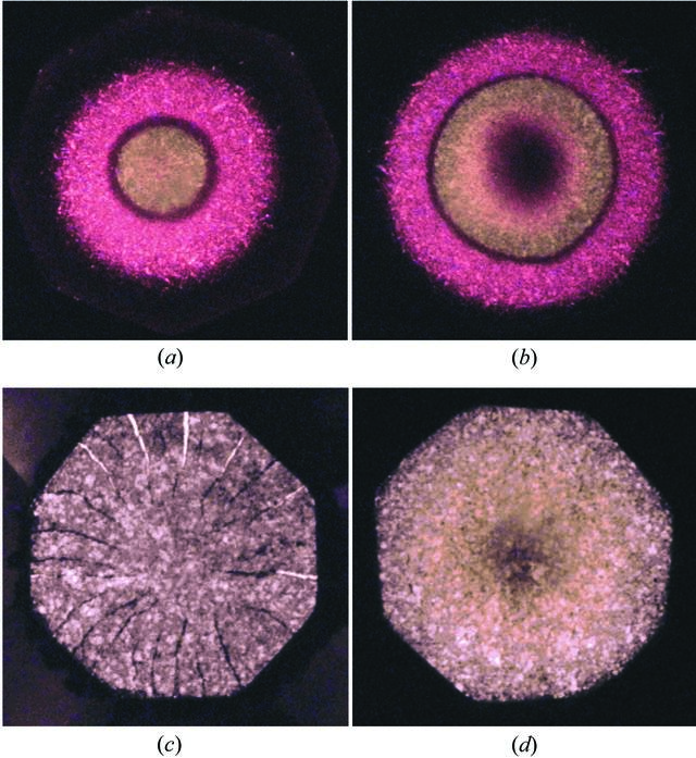 [Figure 6]