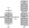 [Figure 1]