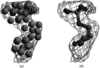 [Figure 11]