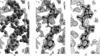 [Figure 6]