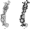 [Figure 7]