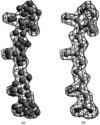 [Figure 9]
