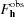 [F^{\rm obs}_{\bf h}]