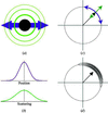 [Figure 5]