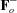 [{\bf F}_o^-]