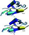 [Figure 5]