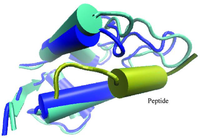 [Figure 7]