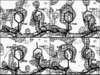 [Figure 3]
