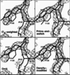 [Figure 4]