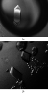 [Figure 2]