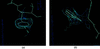 [Figure 2]